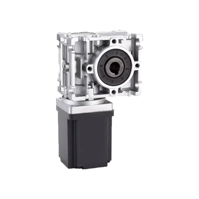 Bldc Planetary Gear Motor 48V High Torque - Motore BLDC a vite senza fine
