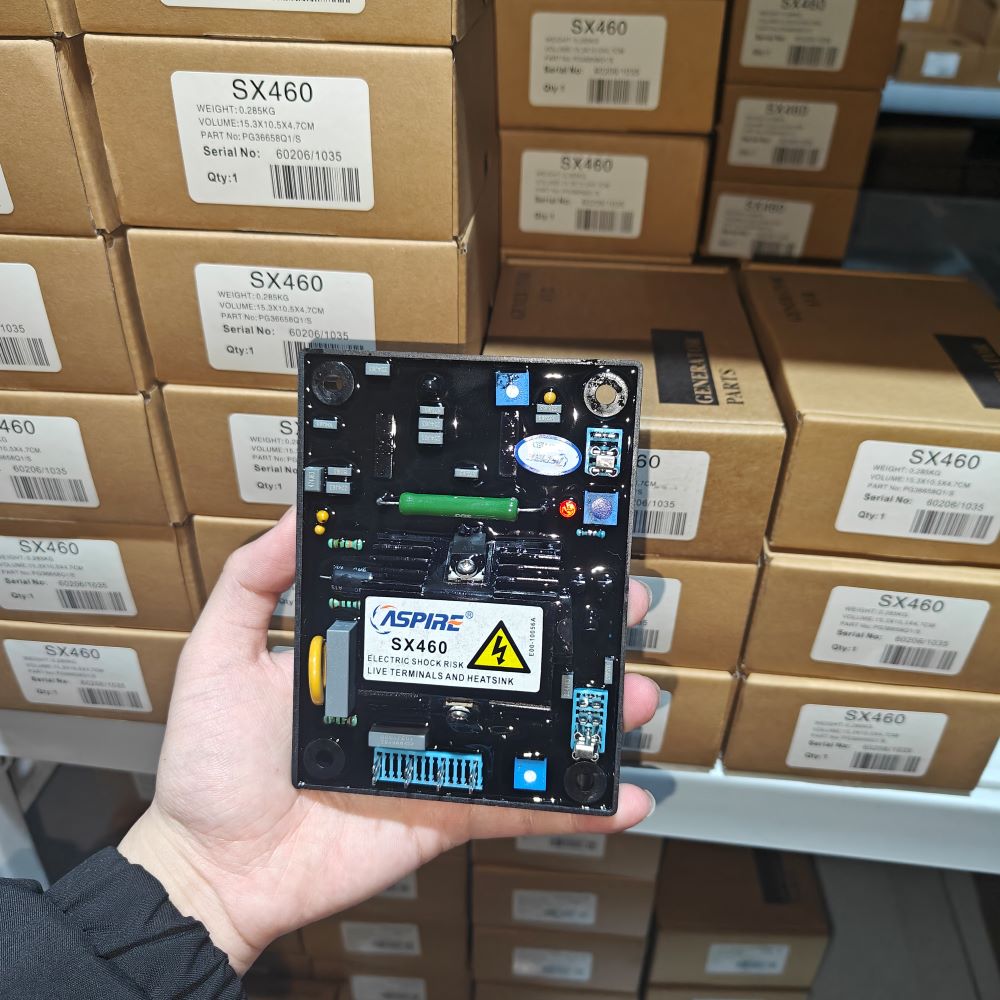 SX460 AVR generatore Diesel re - Cycloidal Reducer Bldc Motor recensione e prezzo